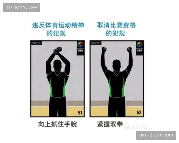 裁判职责：比赛中保证规则执行与判罚权界定