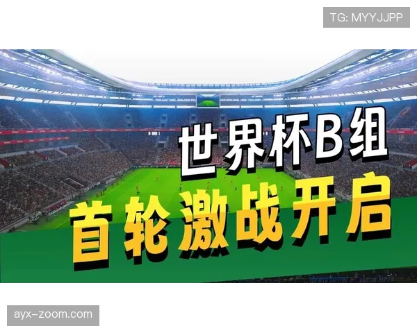 世界杯B组波黑前景全面预测